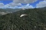 30cm Generic Project Textures Forests - Missing Part