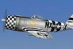 P-47D "No Guts No Glory"