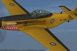RNZAF Red Checkers NZ 1901