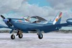 SIAI-Marchetti SF.260 C-DART