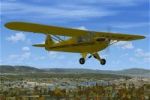 Taylor J-2 Cub (Factory Colors)