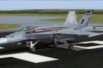 US Marines F/A-18C Silver Eagles CAG