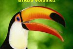 Birds Volume 1 Hawaii Oahu
