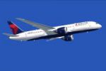 Delta Airlines Boeing 787-8