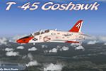 T-45 Goshawk