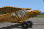 Piper Super Cub 'Tiger'