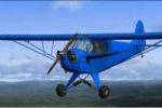 Taylor J-2 Cub Texture Add-On