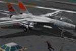 F14 VF31-