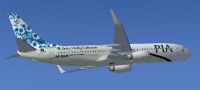 Pakistan International Airlines Boeing 737-800 'Mohenjodaro Indus Valley Civilisation' in flight.