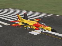 Canadian Air Force/RCAF CF-18 on runway.