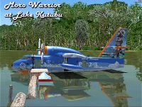 Warrior float plane