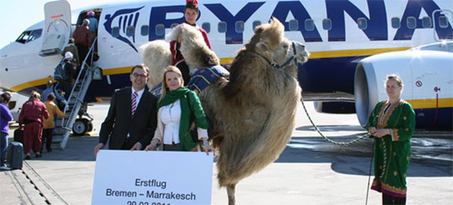Ryanair aircraft in Morocco with Camel.