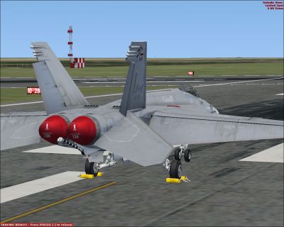 RCAF F/A-18E SuperBug, CAF-425 Squadron, on runway.