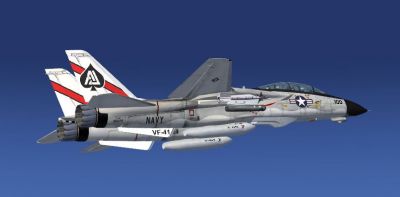 US Navy F-14D Tomcat in flight.