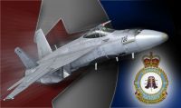 Canadian Air Force F/A-18 409 "NightHawks".