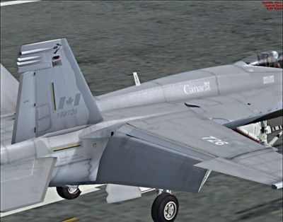 Canadian Air Force F/A-18 425 "Alouettes" on runway.