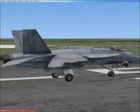 Canadian Air Force F/A-18 "Balkan Rats" on runway.