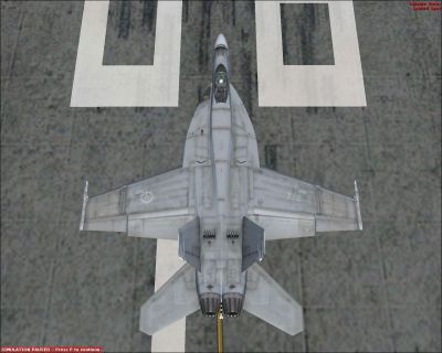 Top down view of Canadian Air Force F/A-18 "Balkan Rats" on runway.