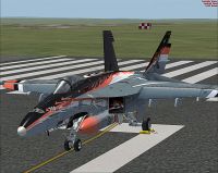 Canadian Air Force/RCAF CF-18 on runway.