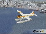 Flight Simulator screenshot, click to enlarge