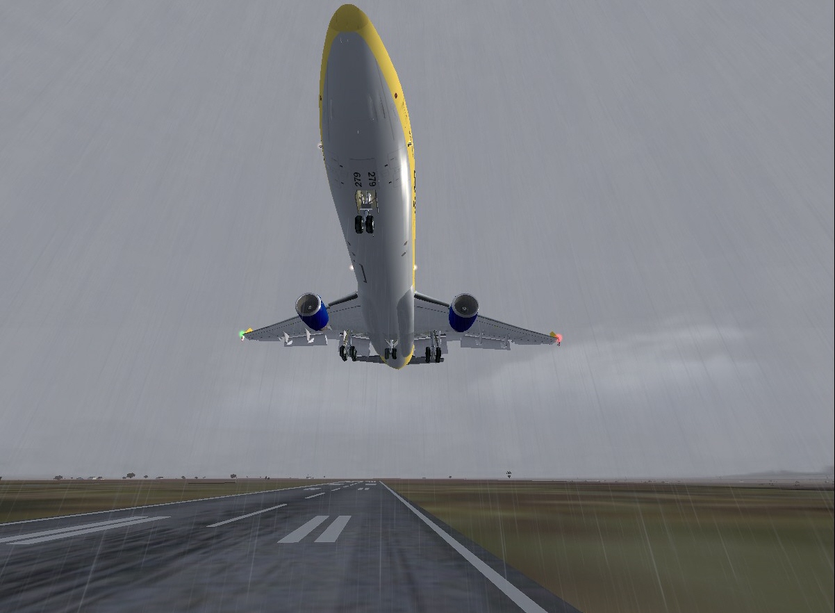 Scratch my belly! Microsoft Flight Simulator 2004