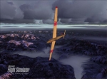 FS9Schweizer Sailplane 10.jpg