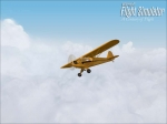 FS9piper08.jpg