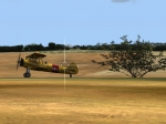 The Stearman