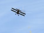 Searching To Land