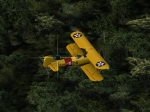 Hedgehopping in the Stearman