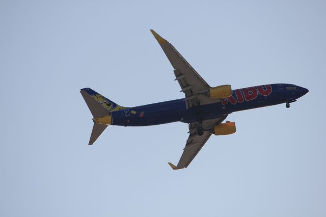 TUIfly "HARIBO" 737-800. From the Aircraft and Aviation gallery.