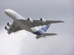 Flight Simulator screenshot, click to enlarge