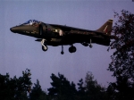 harrier023800.jpg