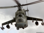 mi242800.jpg