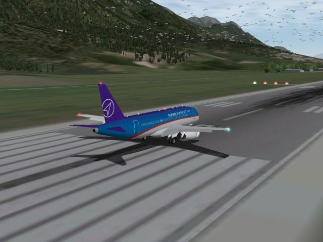 Avoid birds in X-Plane. From the X-Plane gallery.