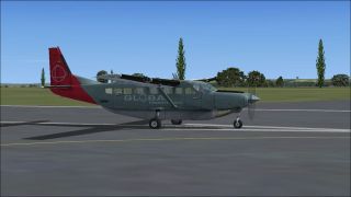 Screenshot 1 — Default Cessna 208B Blurred Texture Fix