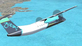 Screenshot 7 — Bahamasair Black Dash-8