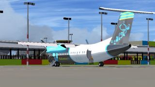 Screenshot 10 — Bahamasair Black Dash-8