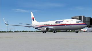 Screenshot 1 — Boeing 737-800, Malaysia Airlines