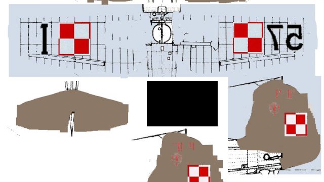 Screenshot 1 — PZL P-11c V2