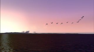 Screenshot 4 — Animal Simulation