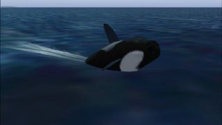 Screenshot 5 — Animal Simulation