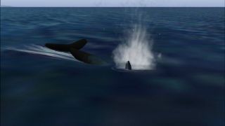 Screenshot 6 — Animal Simulation