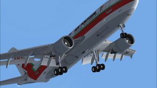 Screenshot 3 — TAP Airbus A310-304