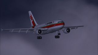 Screenshot 5 — TAP Airbus A310-304