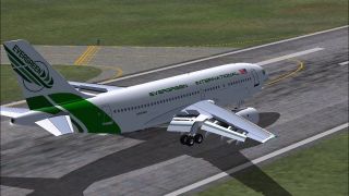 Screenshot 1 — Evergreen Airbus A310-203