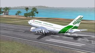 Screenshot 2 — Evergreen Airbus A310-203