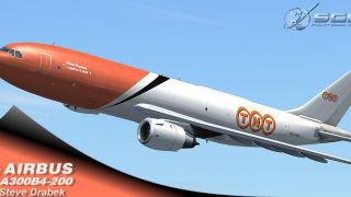Screenshot 2 — SGA TNT Cargo A300 Textures only
