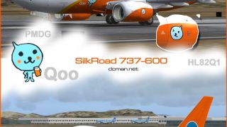 Screenshot 1 — Silkroad Airlines Boeing 737-600