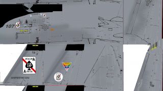 Screenshot 15 — F14D Tomcat